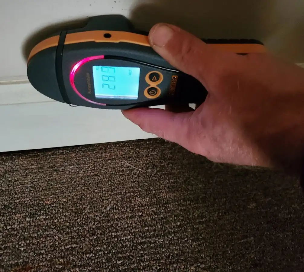 Moisture detection at baseboard during Sewage Cleanup & Sanitation in Hayesville